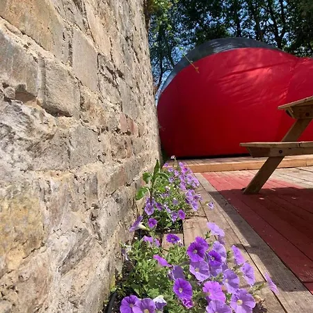 Campo de lujo Love Bulle Blottie Au Vert