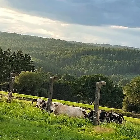 Love Bulle Blottie Au Vert Campo de lujo Vielsalm
