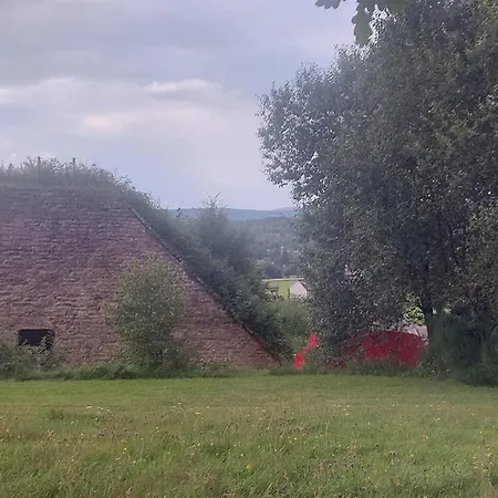 Love Bulle Blottie Au Vert Vielsalm