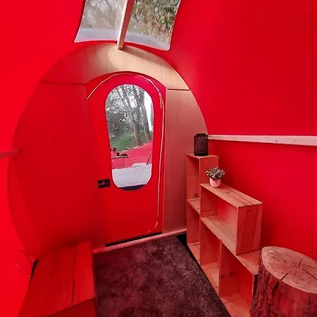 Campo de lujo Love Bulle Blottie Au Vert Vielsalm
